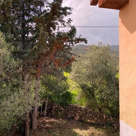 Casa Porta Smeralda アパート オルビア