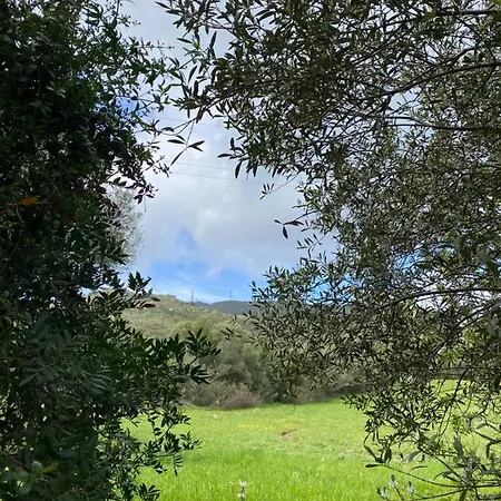 Apartamento Casa Porta Smeralda Olbia